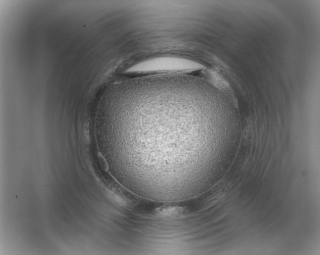 X0000063530452200602102022