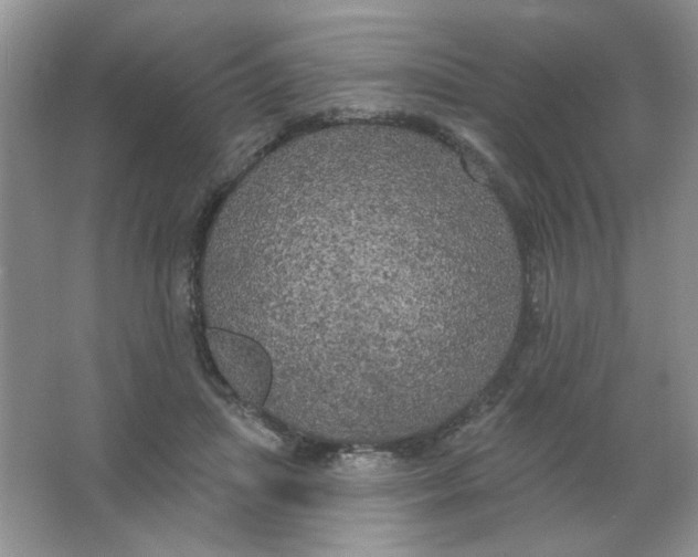 X0000063530455200602102022