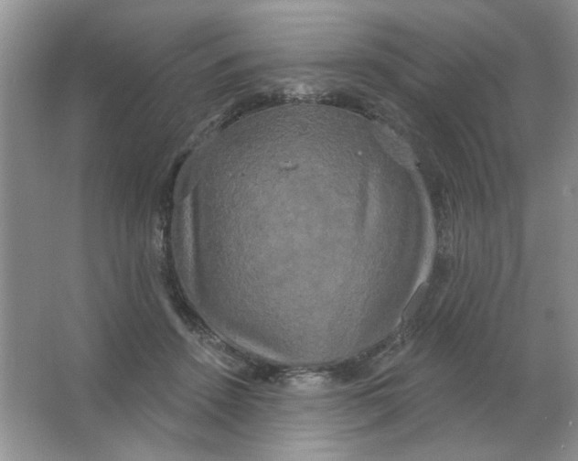 X0000063530456200602102022