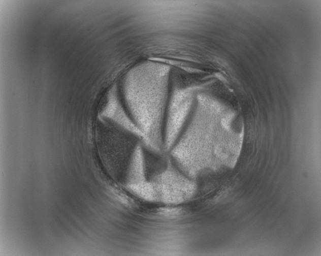 X0000063530457200602102022