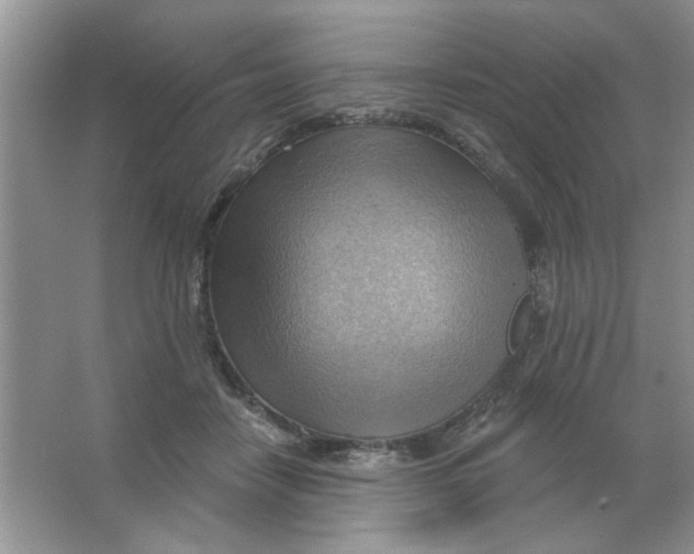 X0000063530458200602102022