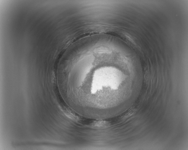 X0000063530459200602102022