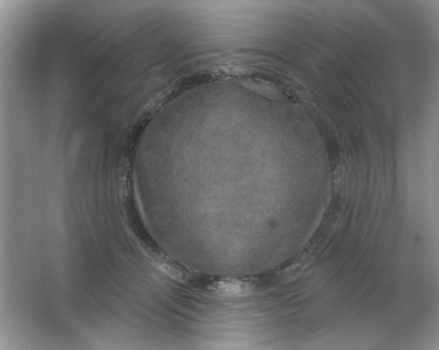 X0000063530464200602102022