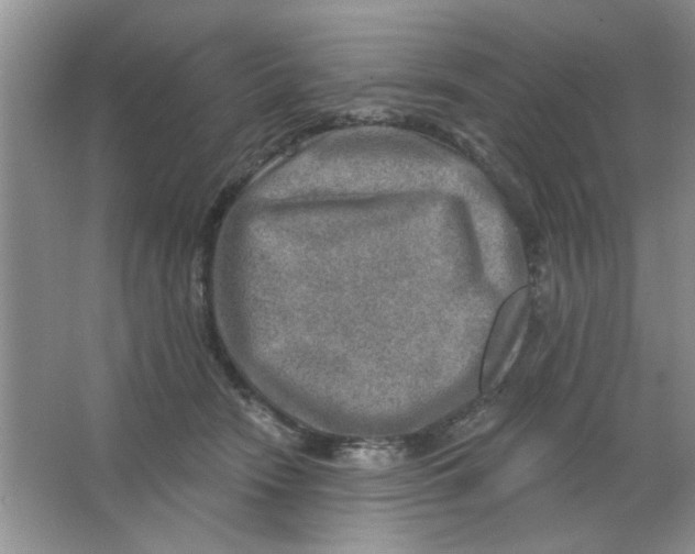 X0000063530466200602102022