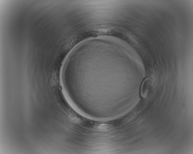 X0000063530467200602102022