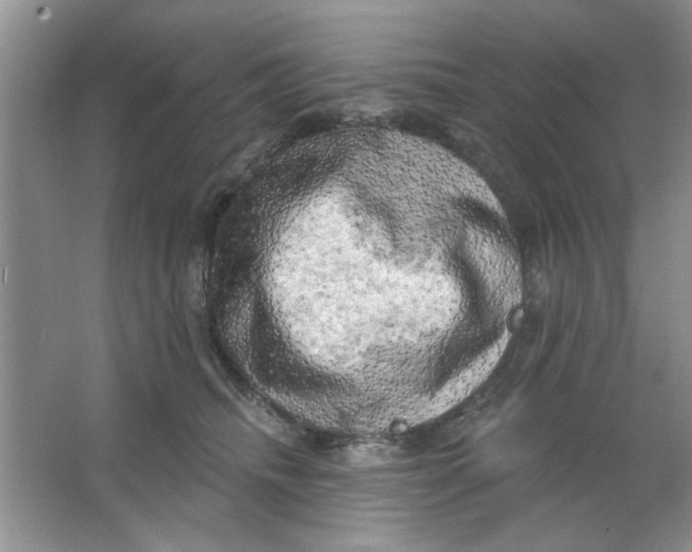 X0000063530468200602102022