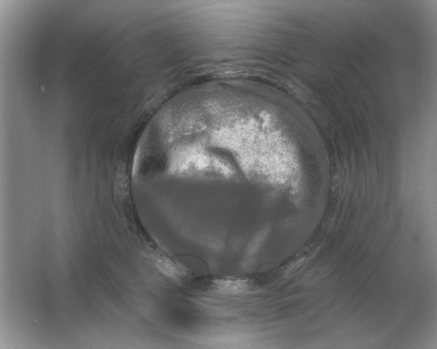 X0000063530469200602102022