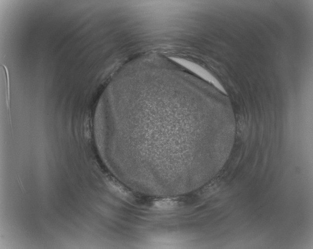 X0000063530470200602102022