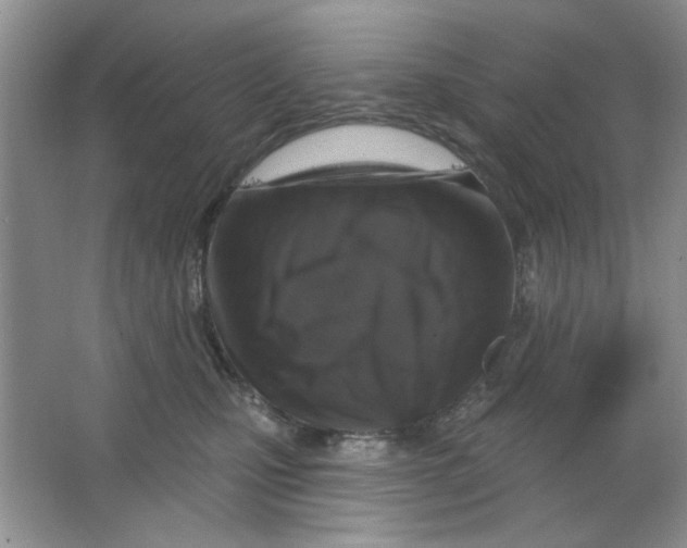 X0000063530471200602102022