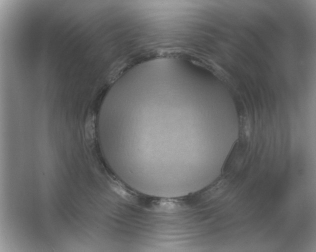 X0000063530475200602102022