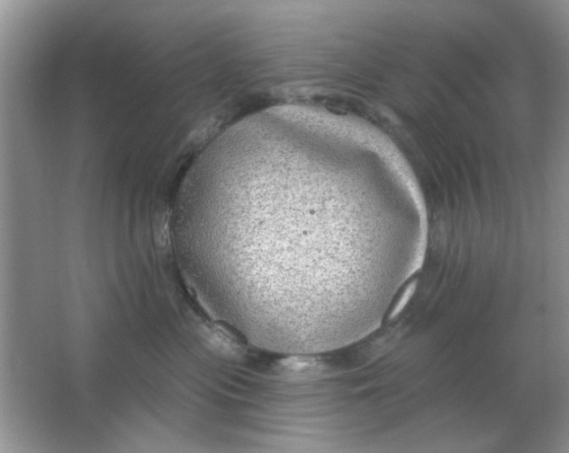 X0000063530477200602102022