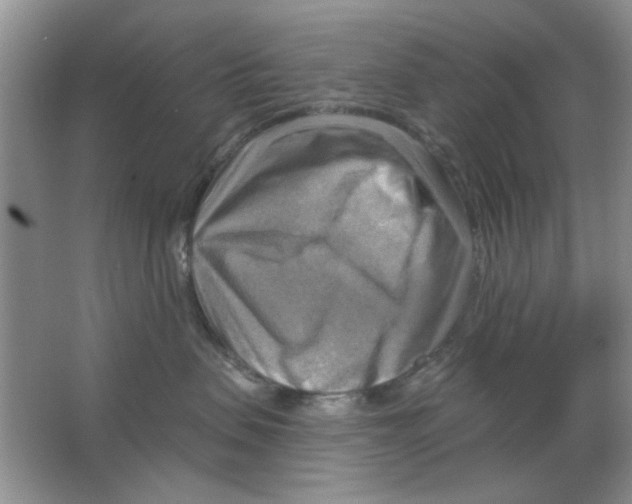 X0000063530479200602102022