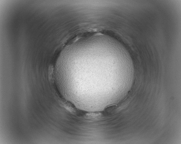 X0000063530480200602102022