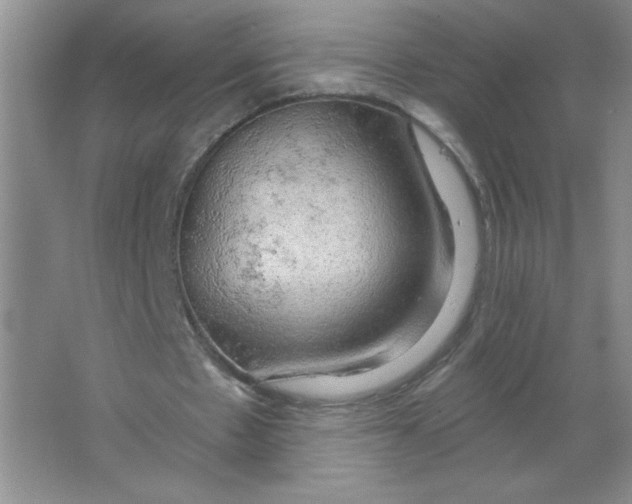 X0000063530481200602102021