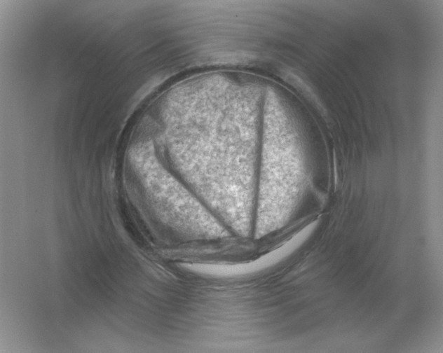 X0000063530483200602102021