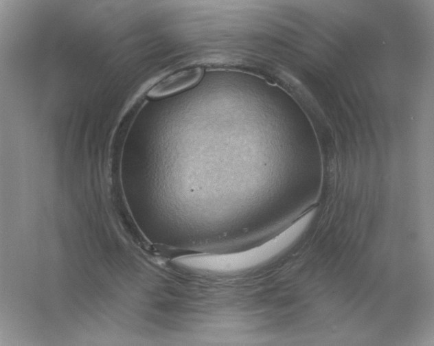 X0000063530484200602102021