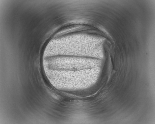 X0000063530486200602102021