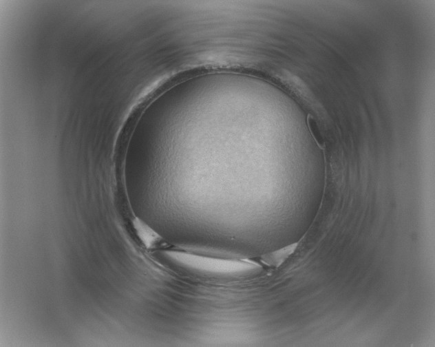 X0000063530488200602102021