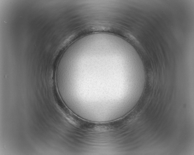 X0000063530490200602102021