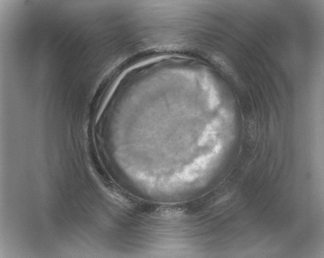 X0000063530491200602102021