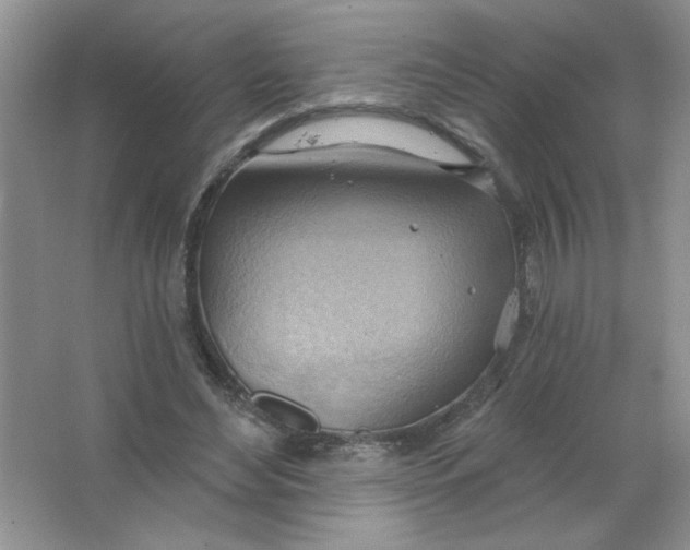 X0000063530492200602102021