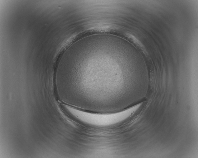 X0000063530493200602102021