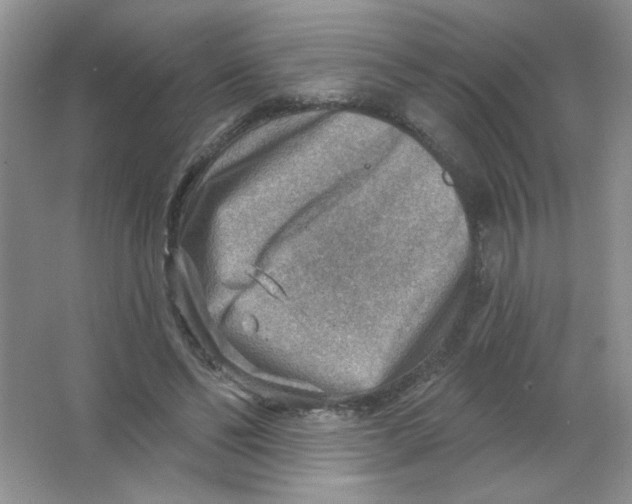 X0000063530494200602102021