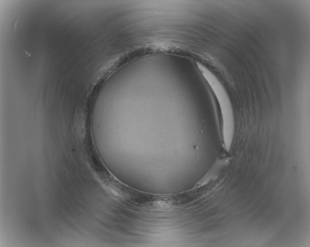 X0000063530496200602102021