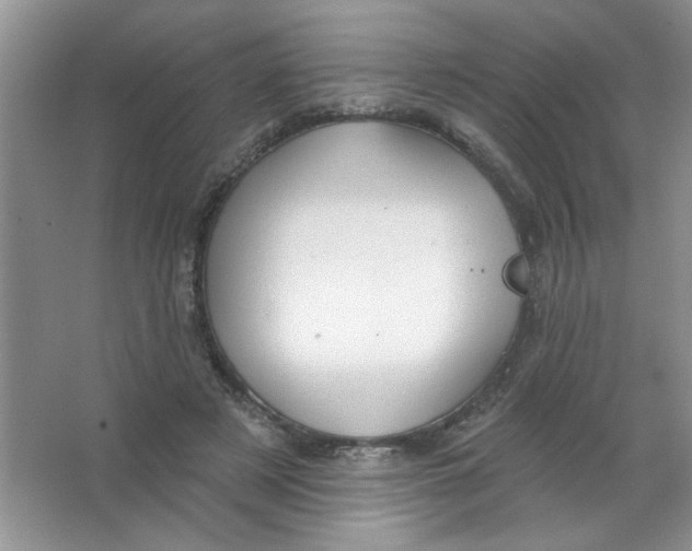 X0000063530497200602102021