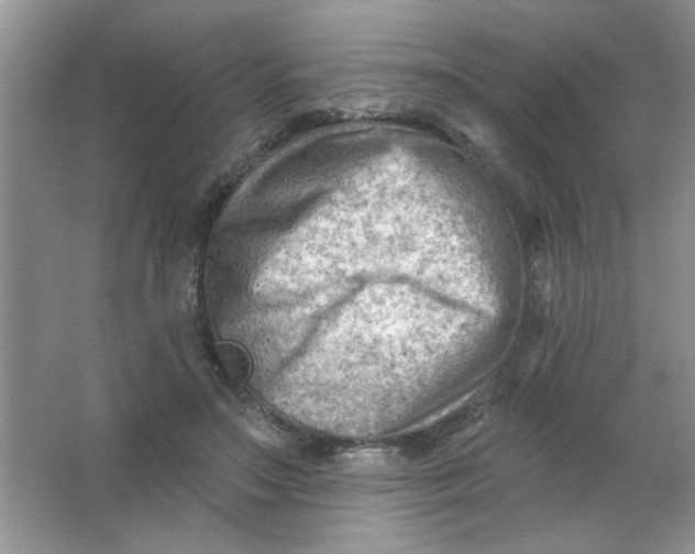 X0000063530499200602102021