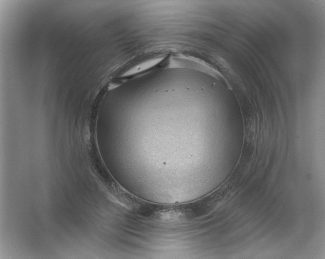 X0000063530500200602102021