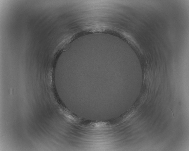 X0000063530501200602102021