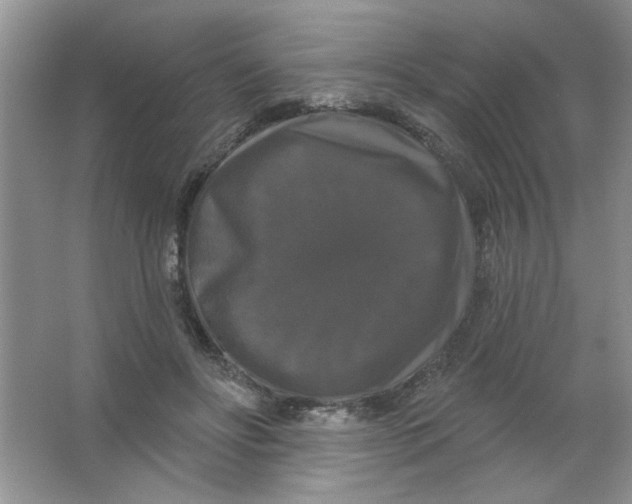 X0000063530502200602102021