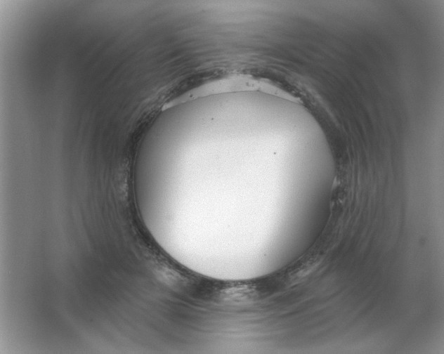 X0000063530505200602102021