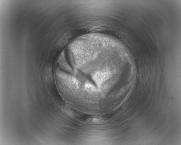 X0000063530506200602102021