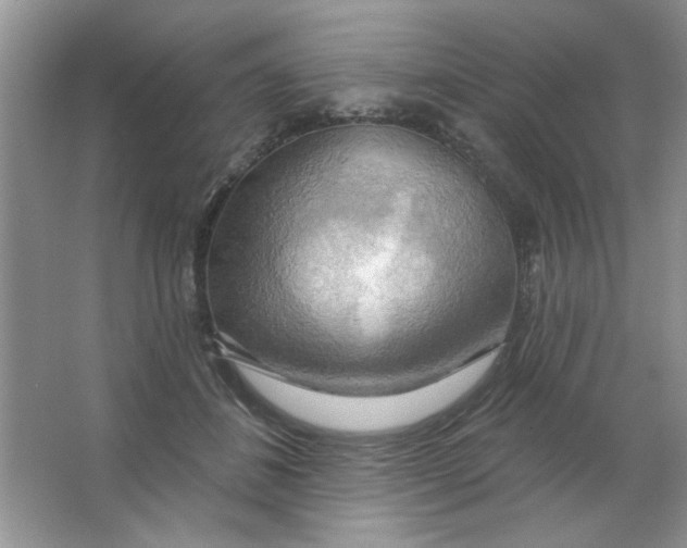 X0000063530508200602102021