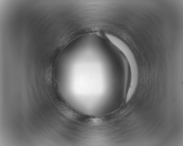 X0000063530509200602102021