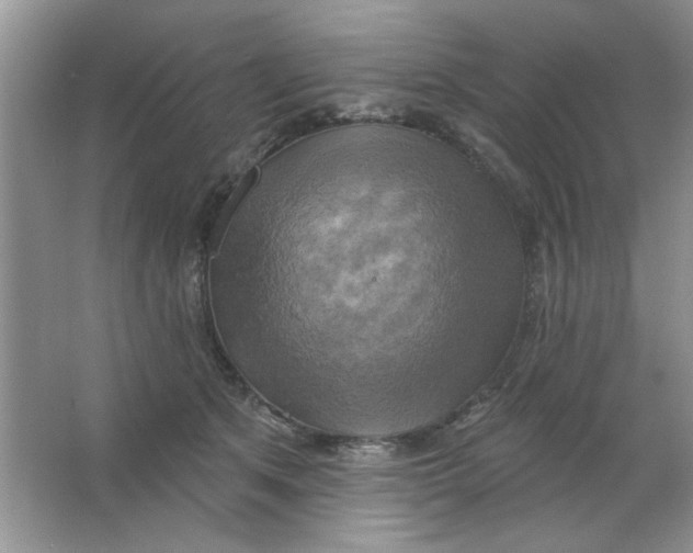 X0000063530513200602102021