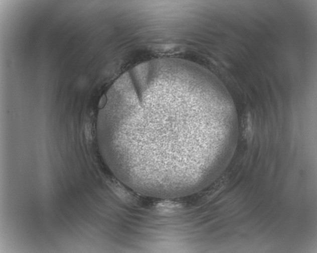 X0000063530515200602102021