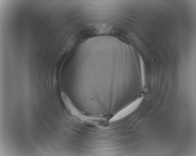 X0000063530516200602102021