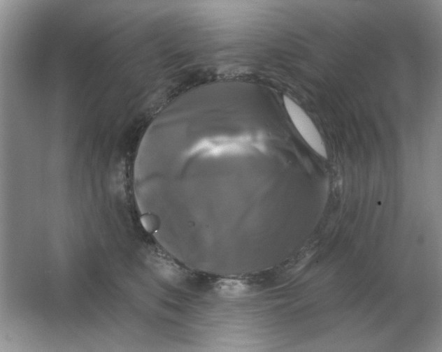 X0000063530519200602102021