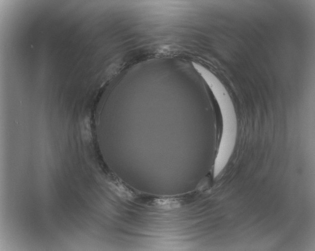 X0000063530520200602102021