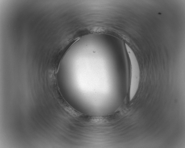 X0000063530521200602102021