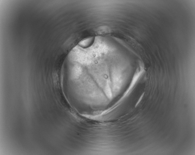 X0000063530523200602102021