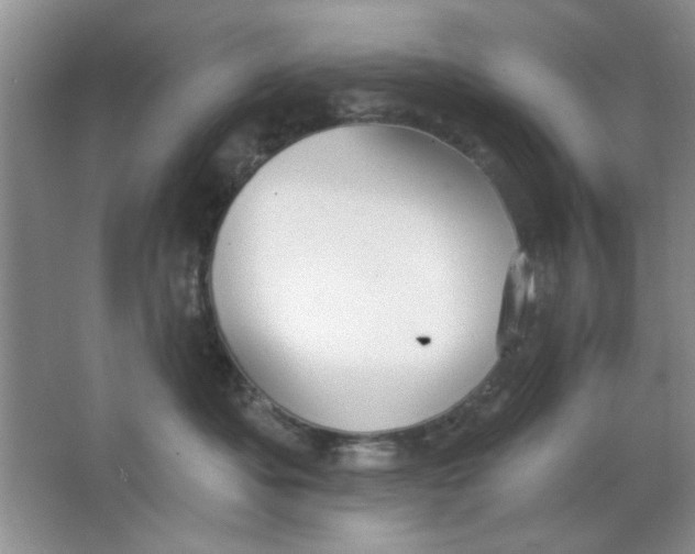 X0000063530525200602102021