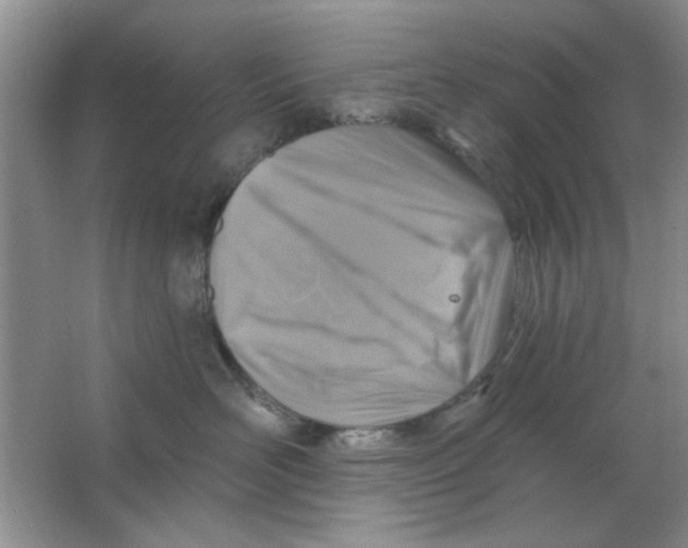 X0000063530526200602102021