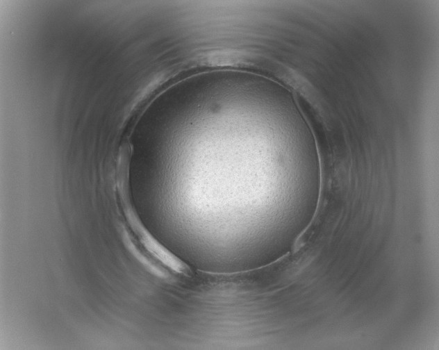 X0000063530530200602102020