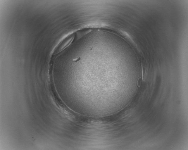 X0000063530531200602102020