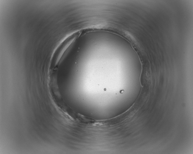 X0000063530532200602102020