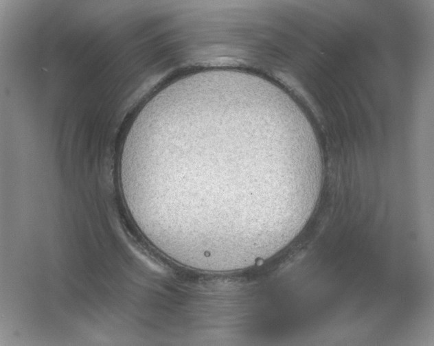 X0000063530533200602102020